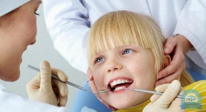 Dental Care