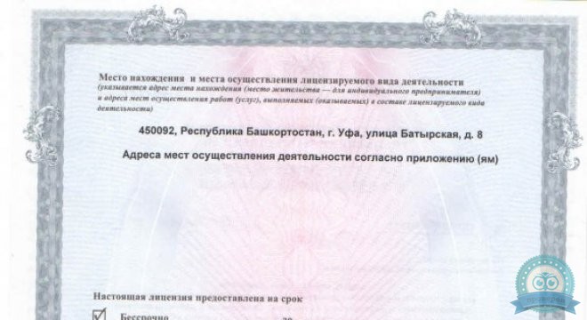 Мэди